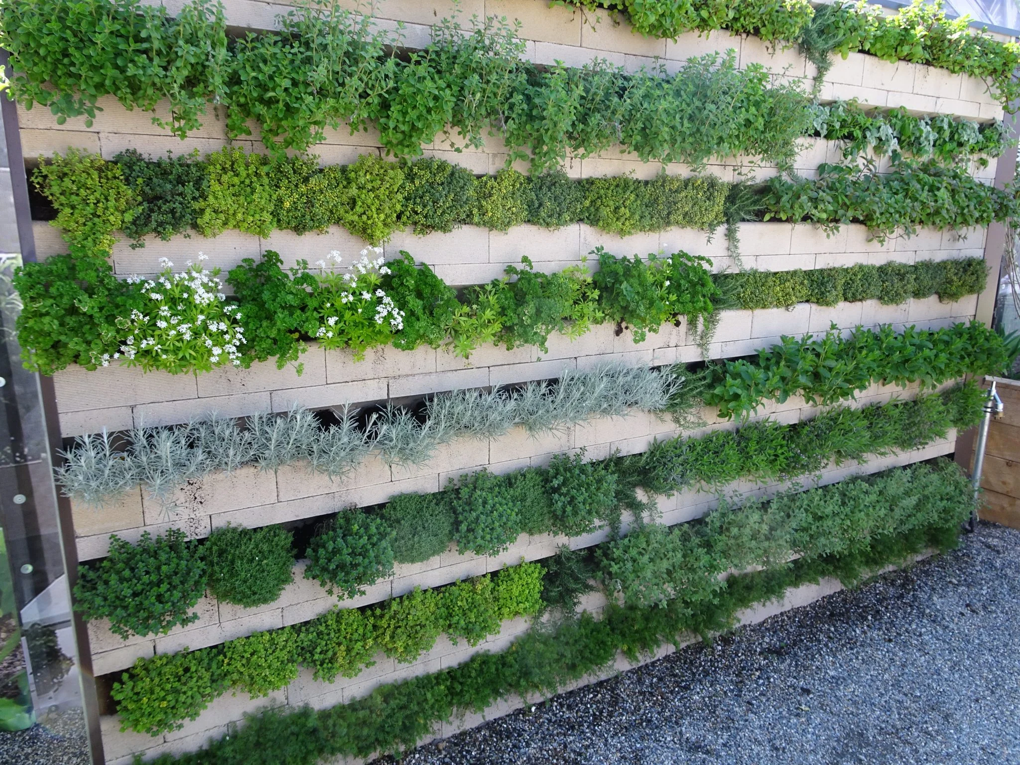 Schallschutz durch eine bepflanzte Wand
