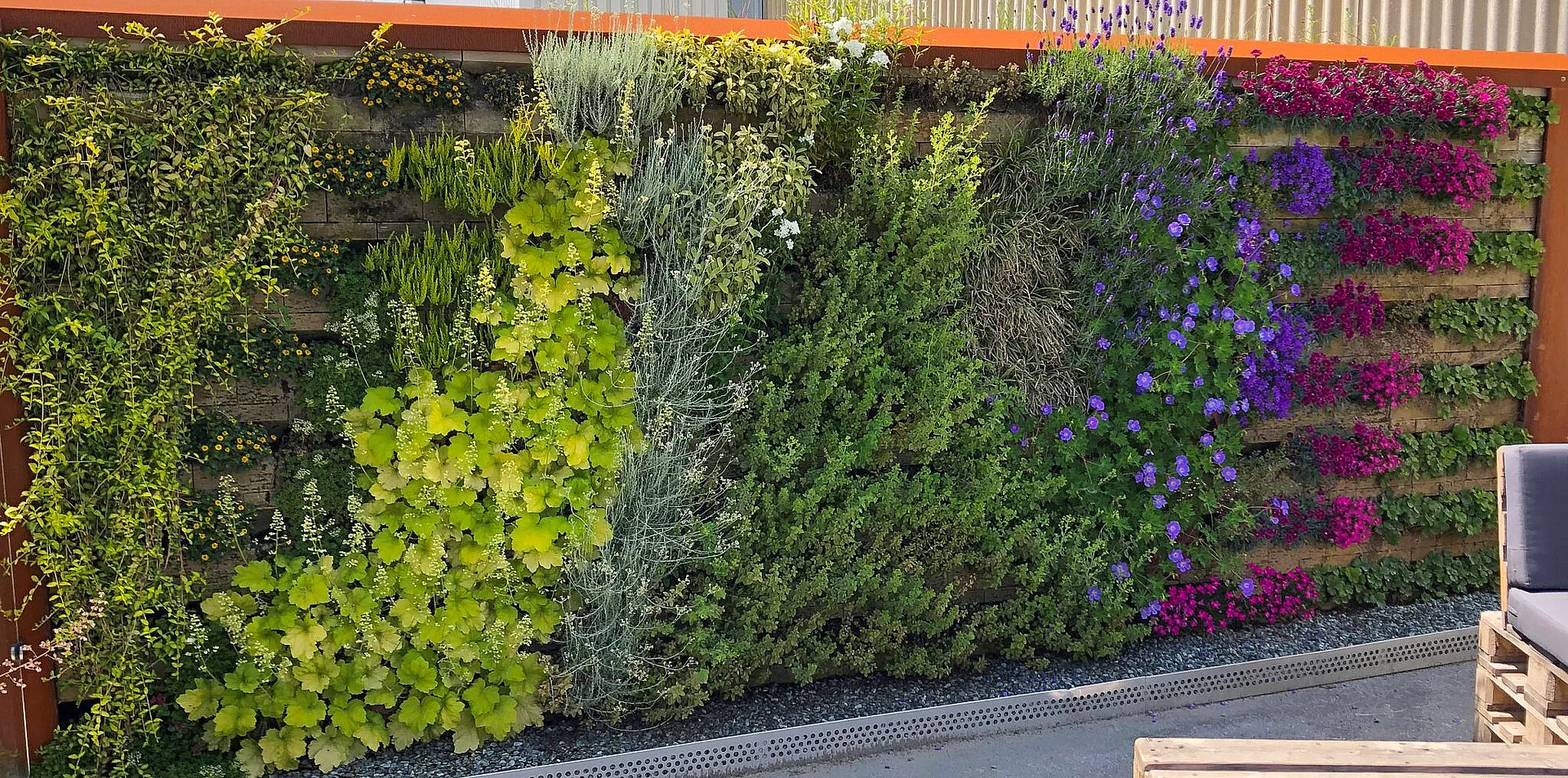Bepflanzte Wand mit Biolit Vertical Green